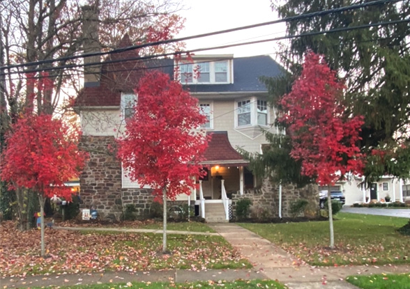 A house with stone foundation and red autumn trees in front.